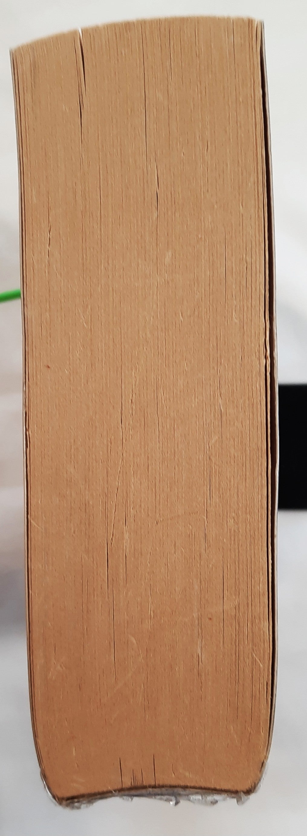Magnus von Sigmund Brouwer (Sehr gut, 1995, Taschenbuch, 572 Seiten, Victor Books)