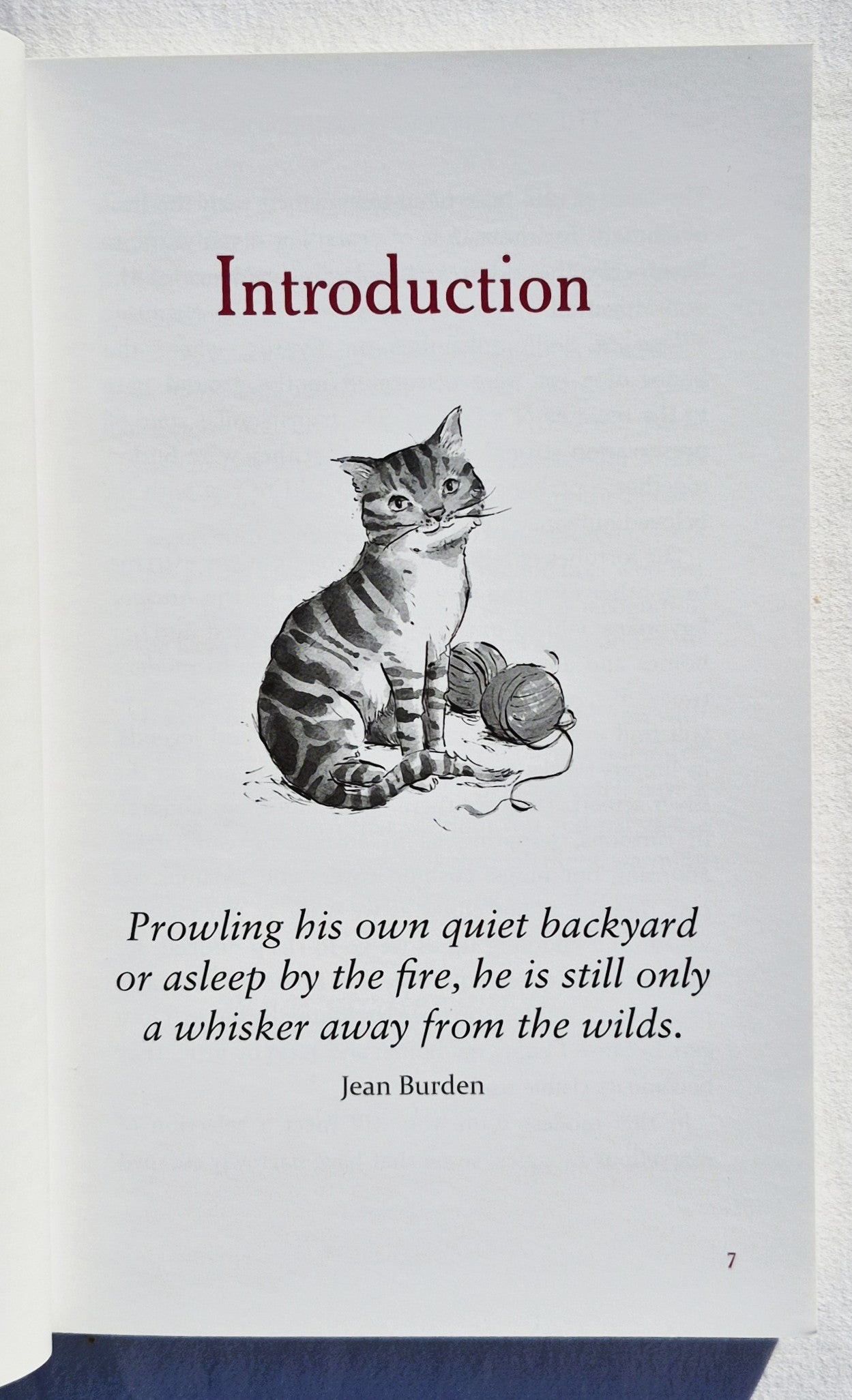 Das Katzenliebhaber-Kompendium: Zitate, Fakten und andere entzückende Schnurr-Weisheiten von Milly Brown (Sehr gut, 2018, Taschenbuch, 237 Seiten, Skyhorse Publishing)