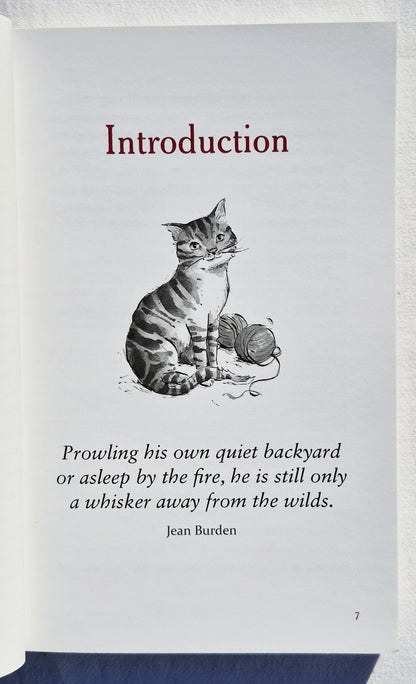 Das Katzenliebhaber-Kompendium: Zitate, Fakten und andere entzückende Schnurr-Weisheiten von Milly Brown (Sehr gut, 2018, Taschenbuch, 237 Seiten, Skyhorse Publishing)