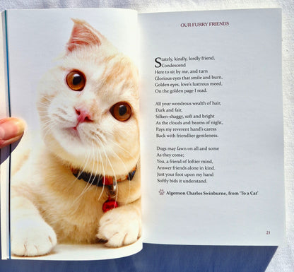 Das Katzenliebhaber-Kompendium: Zitate, Fakten und andere entzückende Schnurr-Weisheiten von Milly Brown (Sehr gut, 2018, Taschenbuch, 237 Seiten, Skyhorse Publishing)