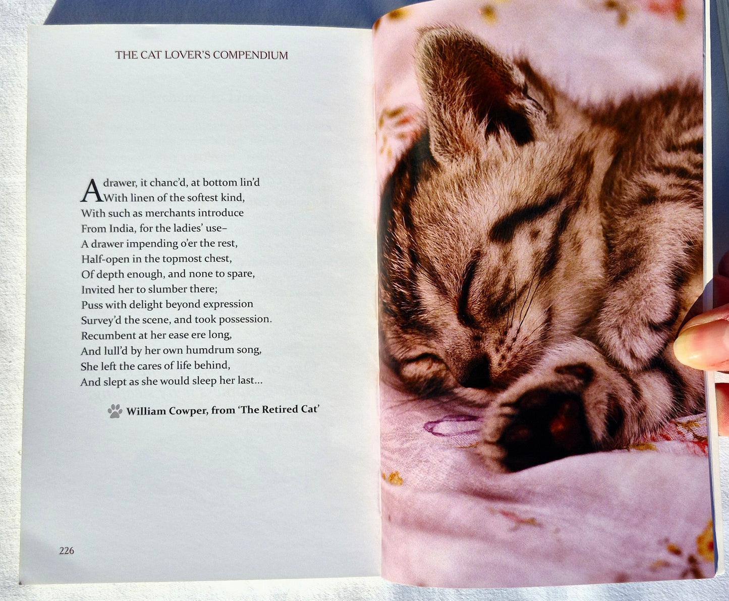 Das Katzenliebhaber-Kompendium: Zitate, Fakten und andere entzückende Schnurr-Weisheiten von Milly Brown (Sehr gut, 2018, Taschenbuch, 237 Seiten, Skyhorse Publishing)