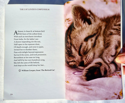 Das Katzenliebhaber-Kompendium: Zitate, Fakten und andere entzückende Schnurr-Weisheiten von Milly Brown (Sehr gut, 2018, Taschenbuch, 237 Seiten, Skyhorse Publishing)