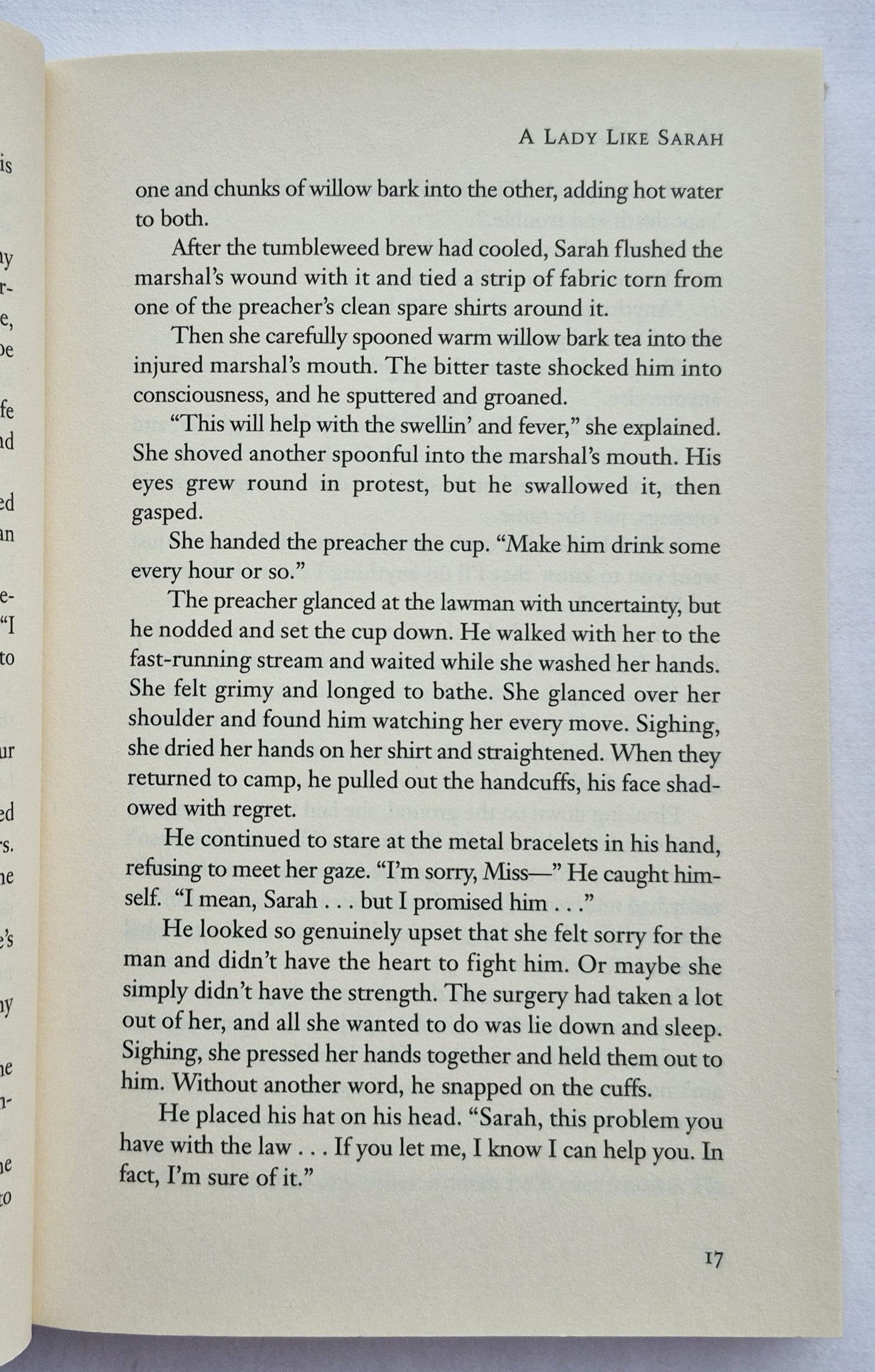 Eine Dame namens Sarah von Margaret Brownley (Rocky Creek Romance #1, Gut, 2009, Taschenbuch, 314 Seiten, Thomas Nelson)