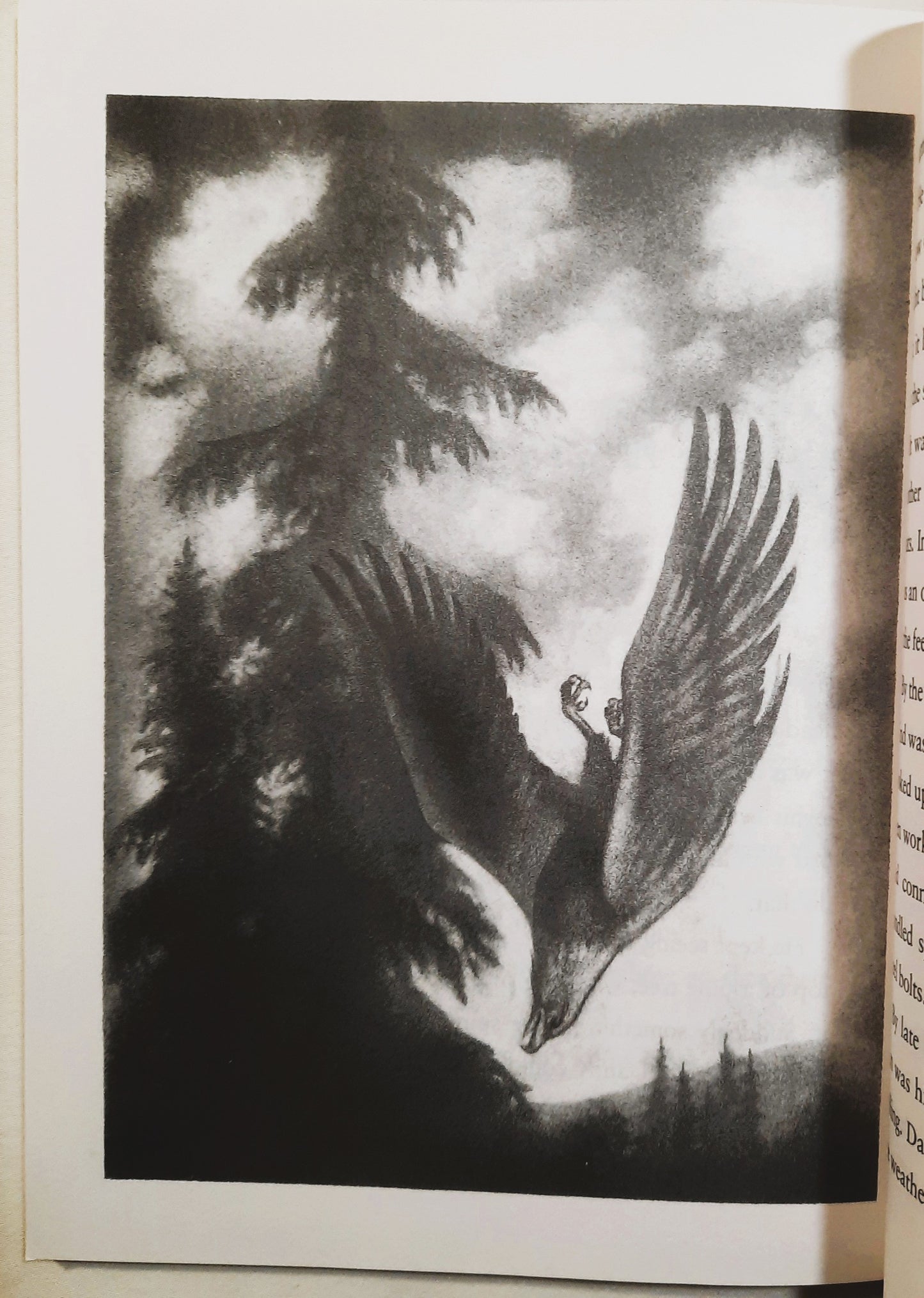 Eagle Song von Joseph Bruchac; Andreasen Dan (Gut, 1999, TB, 80 Seiten, Scholastic)