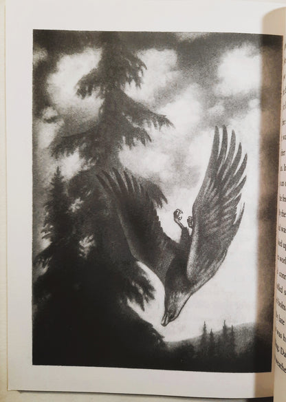 Eagle Song von Joseph Bruchac; Andreasen Dan (Gut, 1999, TB, 80 Seiten, Scholastic)
