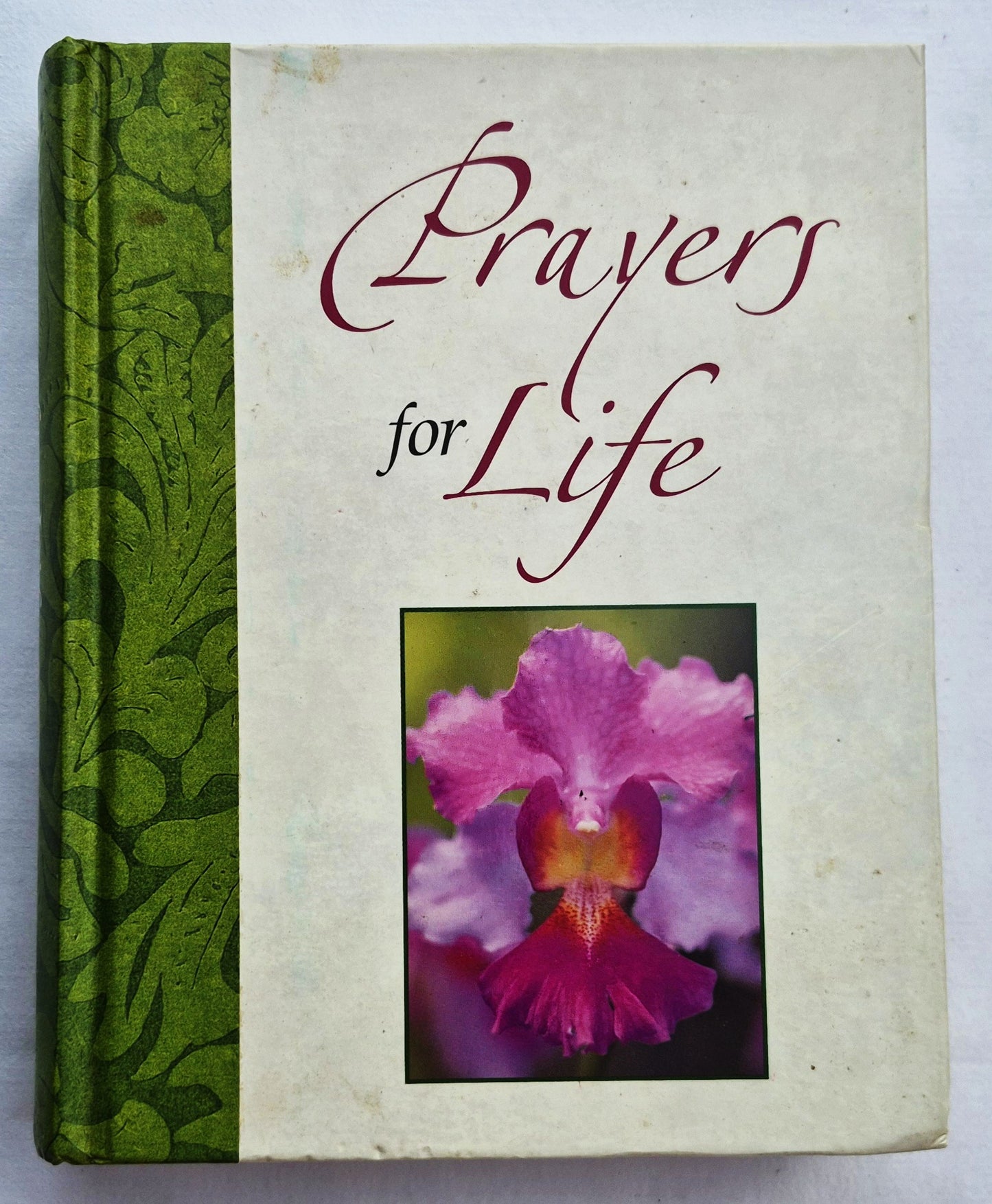 Prayers for Life von Nancy P. Brummett; June Eaton (Wie neu, 2002, geb., 384 Seiten, Publications Intl)