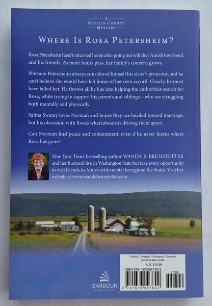 The Protector von Wanda E. Brunstetter (Mifflin County Mystery #1, Neu, 2024, Taschenbuch, 317 Seiten, Barbour Publishing)