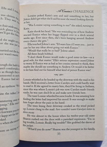 A Cousin's Challenge by Wanda E. Brunstetter (Indiana Cousins #3, New, 2010, Pbk, 304 pages, Barbour Pub)