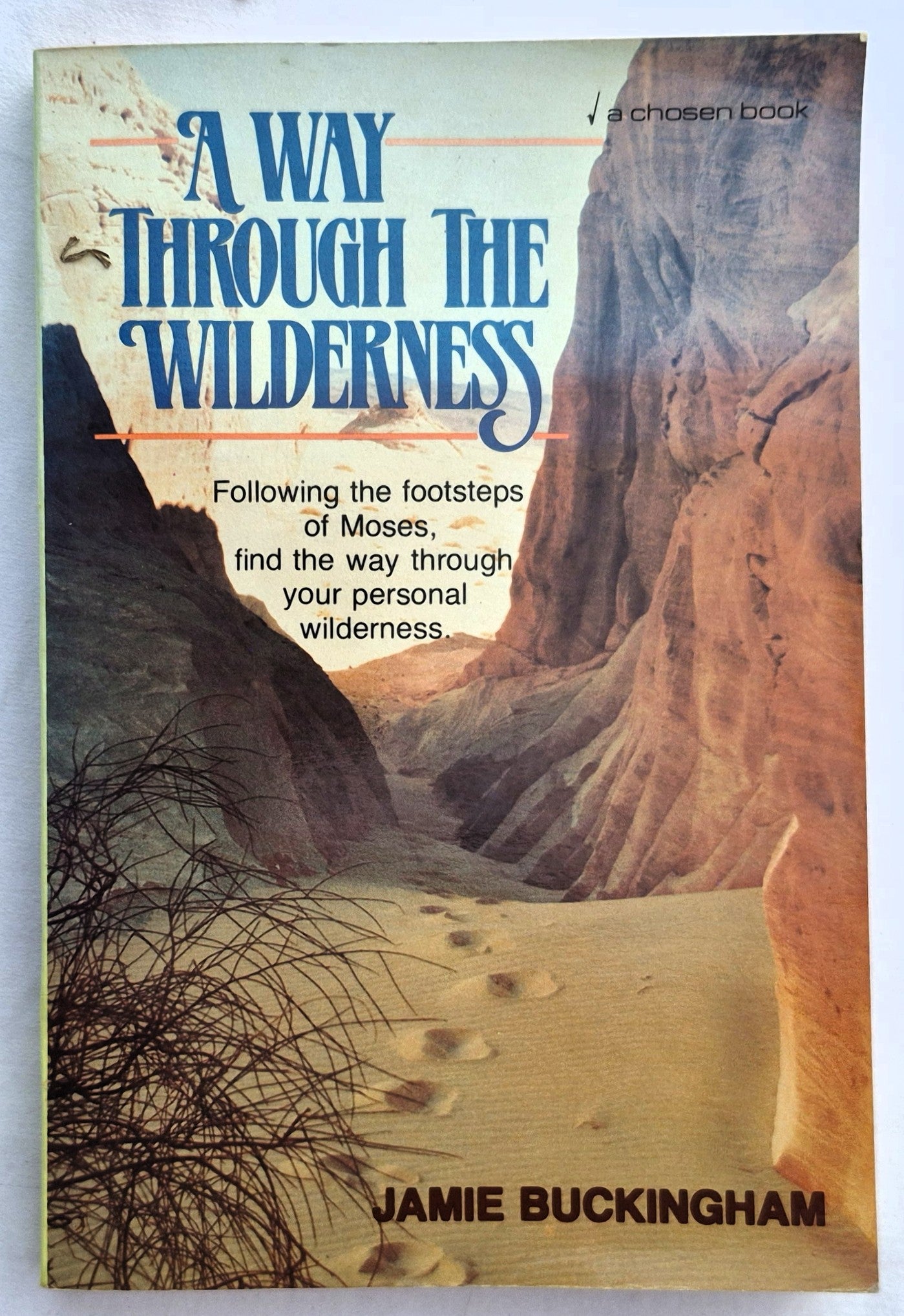 A Way Through the Wilderness von Jamie Buckingham (Gut, 1983, Taschenbuch, 202 Seiten, Chosen Books)