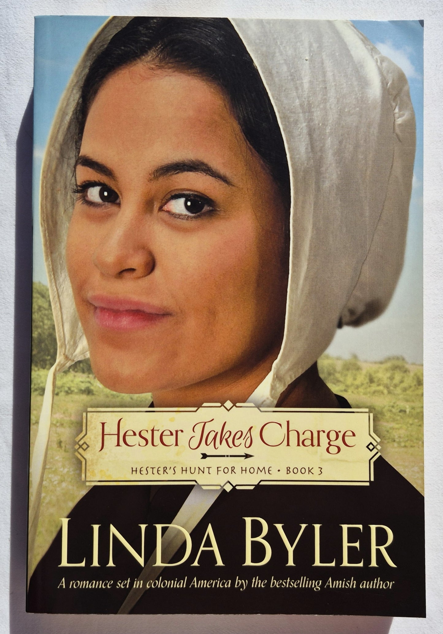 Hester toma las riendas #3 por Linda Byler (Hester busca su hogar, Nuevo, 2016, Rústica, 400 páginas, Good Books)