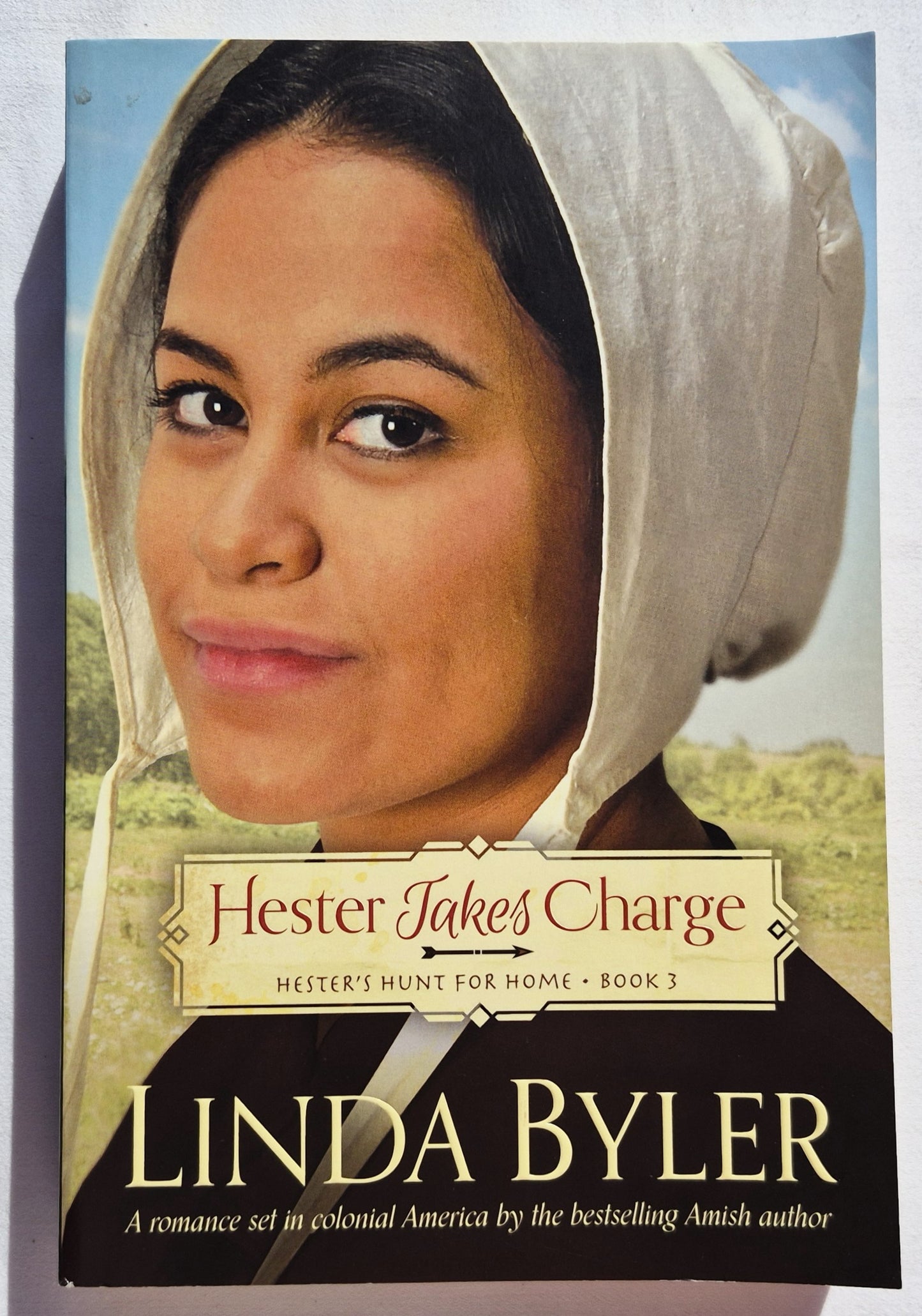 Hester toma las riendas #3 por Linda Byler (Hester busca su hogar, Nuevo, 2016, Rústica, 400 páginas, Good Books)