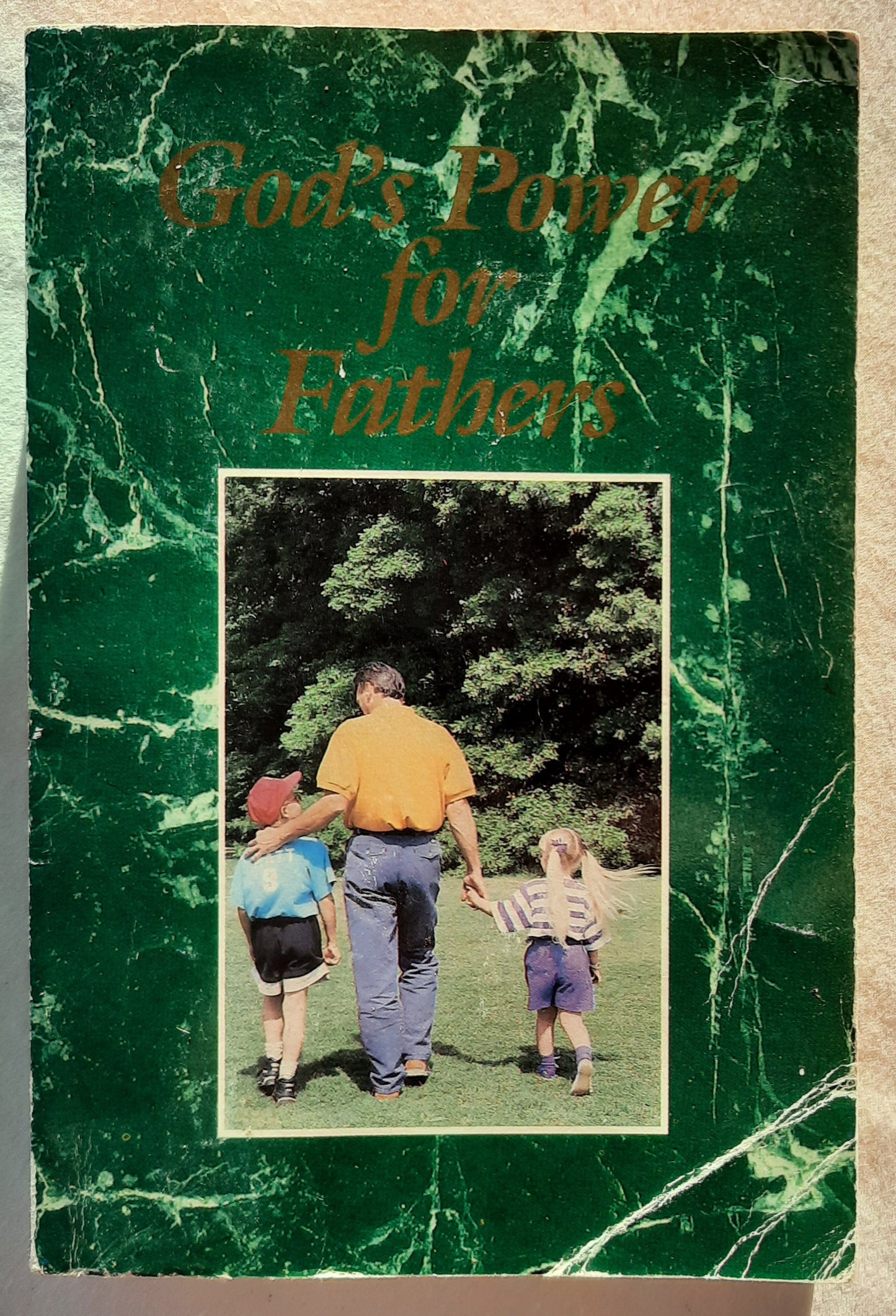 God's Power for Fathers by C & D International (Good, 1989, PBk, 288 pages, C & D International)