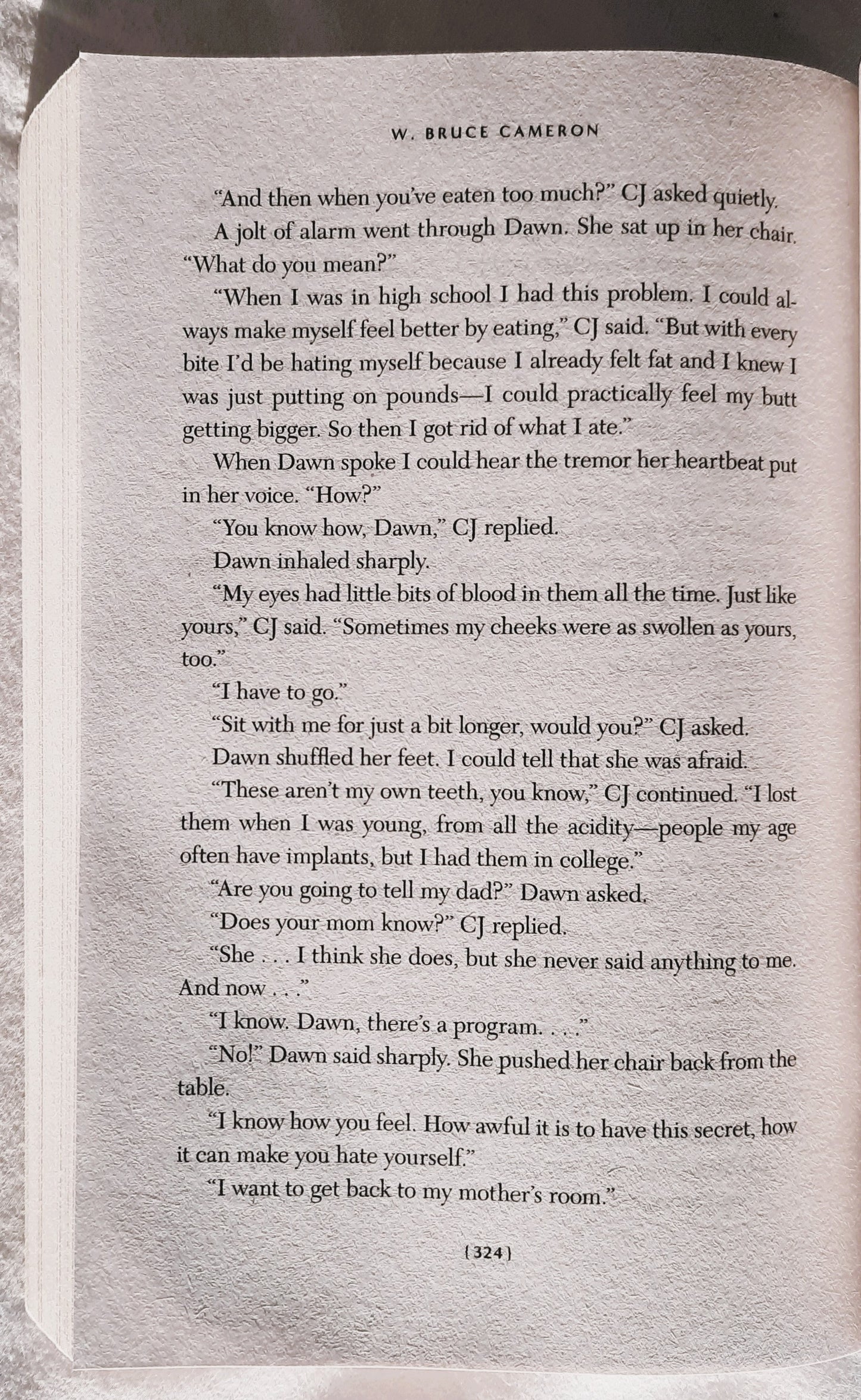 A Dog's Journey by W. Bruce Cameron (Movie tie-in, Very good, 2019, Pbk, 360 pages, Tom Doherty Associates)