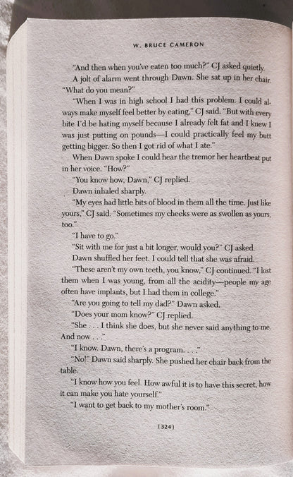 A Dog's Journey by W. Bruce Cameron (Movie tie-in, Very good, 2019, Pbk, 360 pages, Tom Doherty Associates)