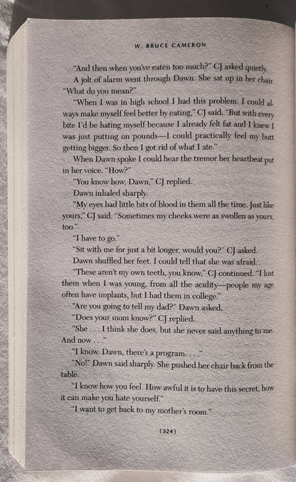 A Dog's Journey by W. Bruce Cameron (Movie tie-in, Very good, 2019, Pbk, 360 pages, Tom Doherty Associates)