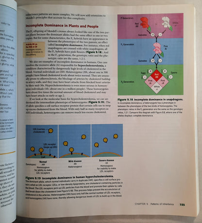Essential Biology 2nd edition by Neil Campbell & Jane Reece (Very good, 2003, Pbk, Pearson)