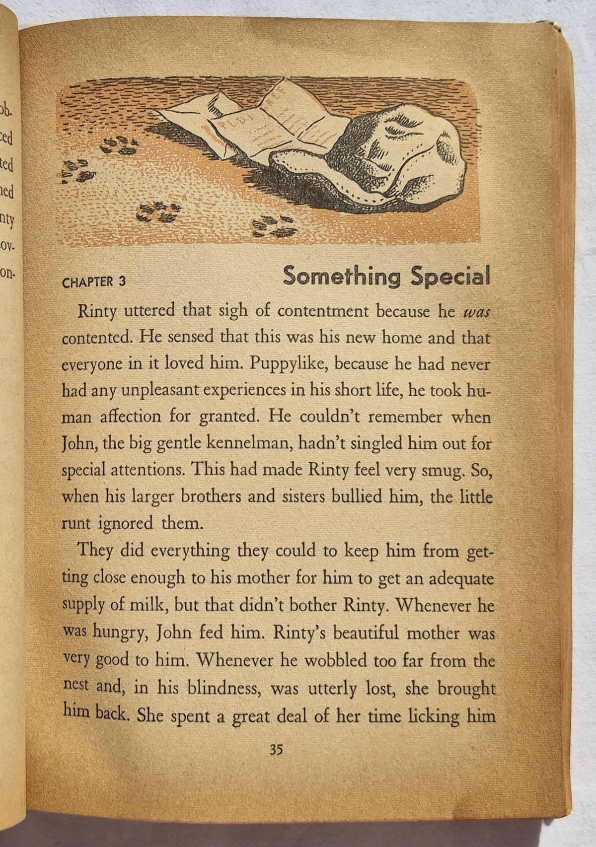 Rin Tin Tin's Rinty by Julie Campbell (Acceptable, 1954, HC, 282 pages, Whitman Publishing)