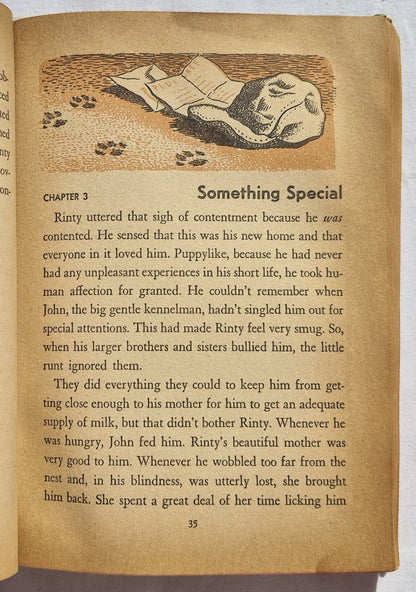 Rin Tin Tin's Rinty by Julie Campbell (Acceptable, 1954, HC, 282 pages, Whitman Publishing)