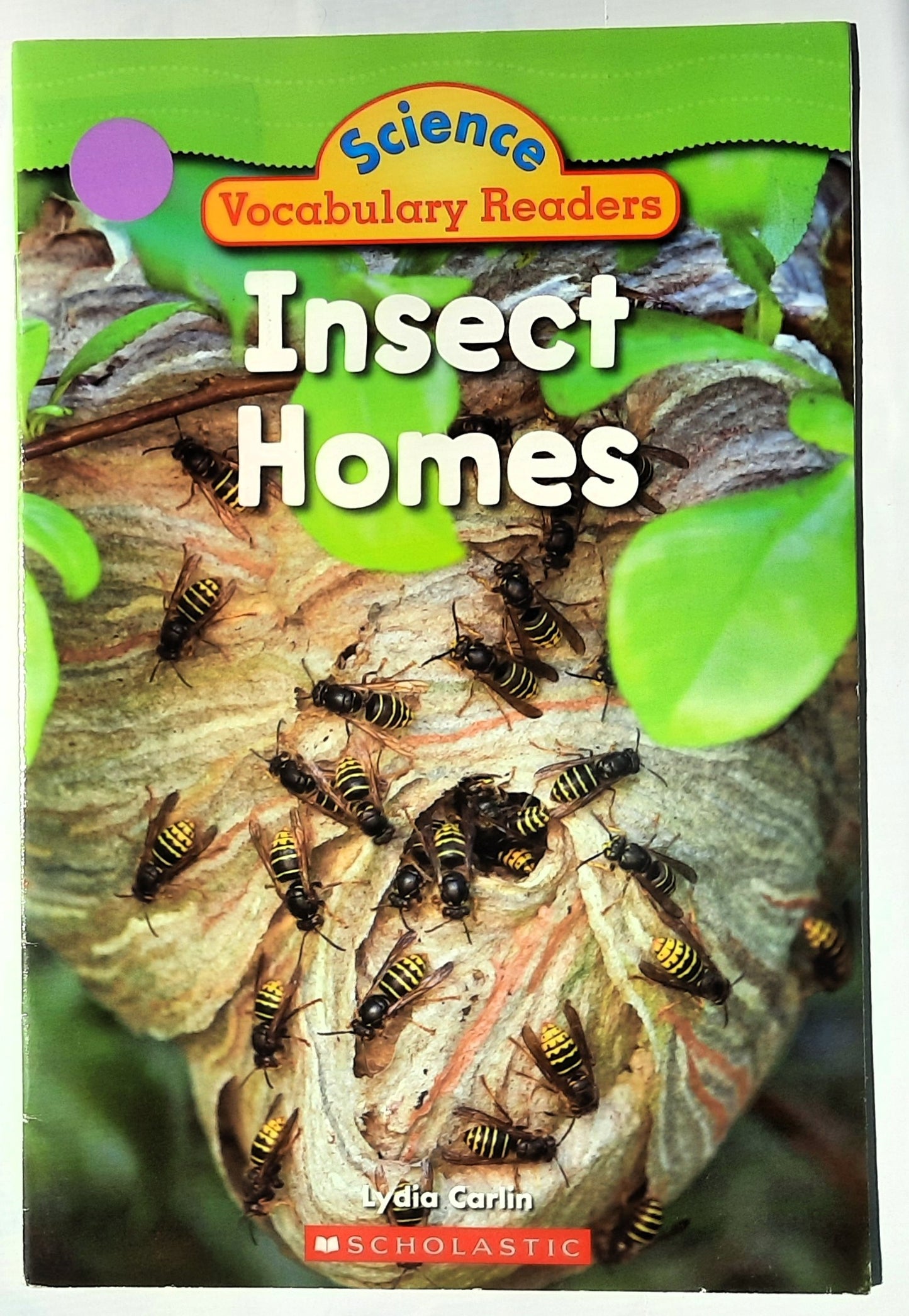 Science Vocabulary Readers: Insect Homes by Lydia Carlin (Very good, 2008, Pbk, 24 pages, Scholastic)