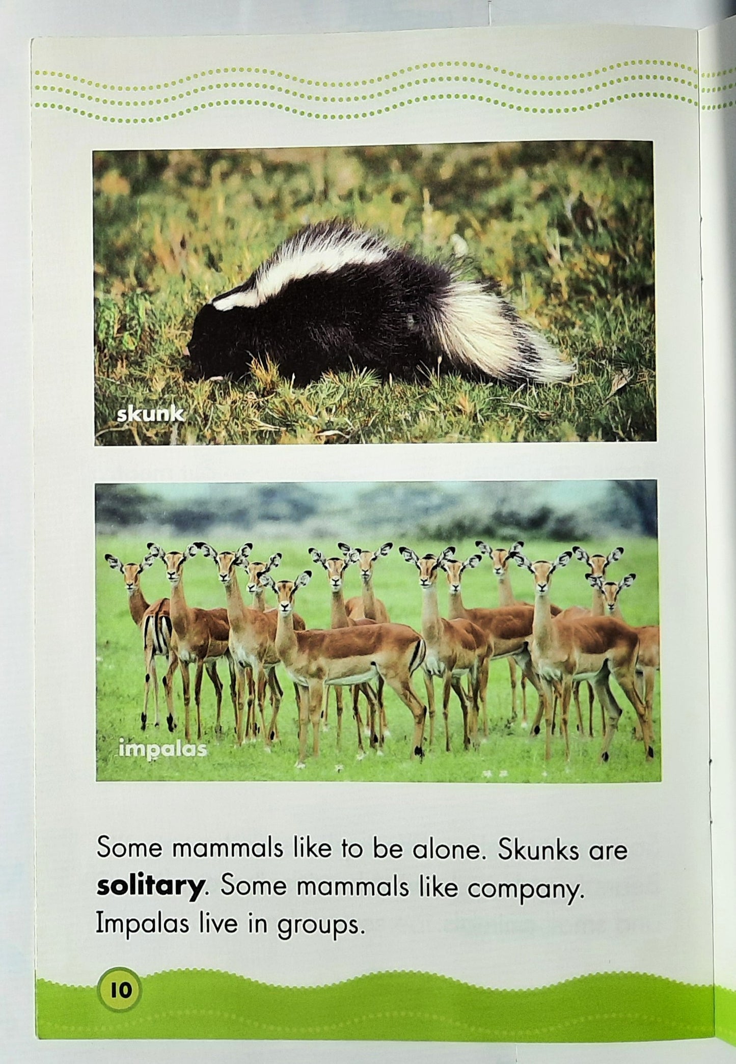 Science Vocabulary Readers: Marvelous Mammals by Lydia Carlin (Very good, 2009, Pbk, 16 pages, Scholastic)