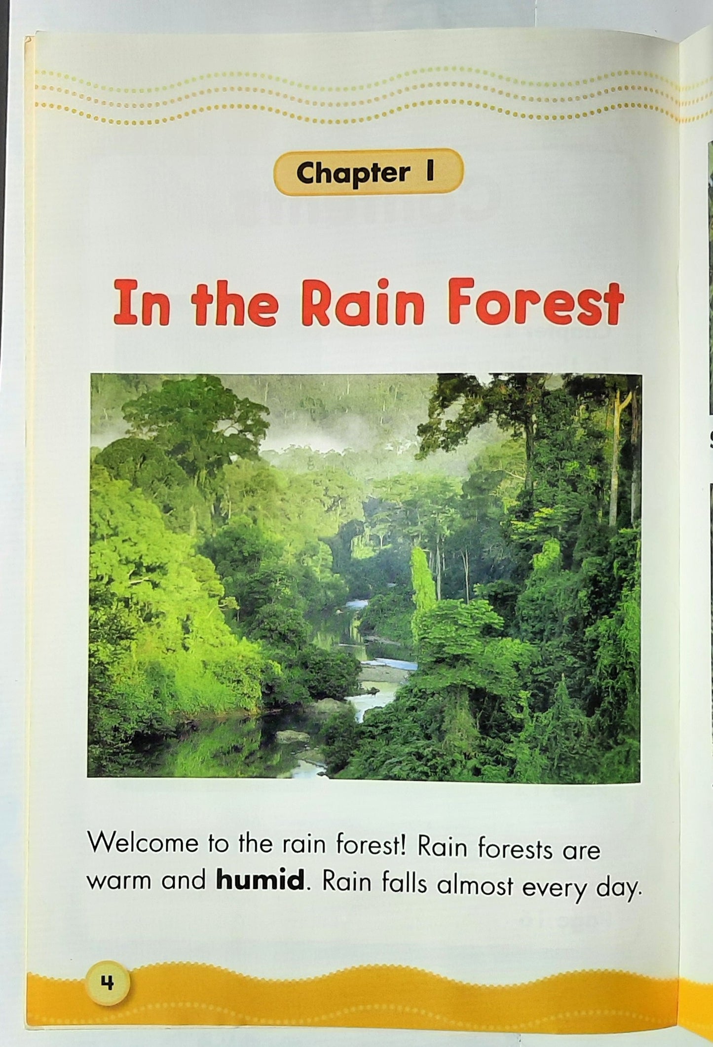 Science Vocabulary Readers: Rain Forest Homes by Lydia Carlin (Very good, 2007, Pbk, 16 pages, Scholastic)