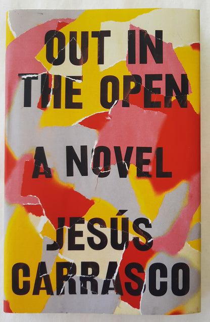 Out in the Open by Jesus Carrasco (Very good, 2017, HC, 226 pages, Riverhead Books)