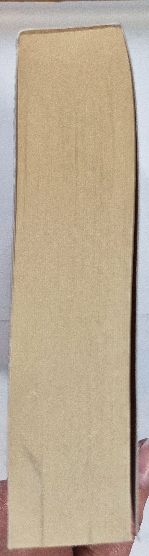 The Hero's Lot #2 by Patrick W. Carr (The Staff and the Sword, New, 2013, Pbk, 444 pages, Bethany House)