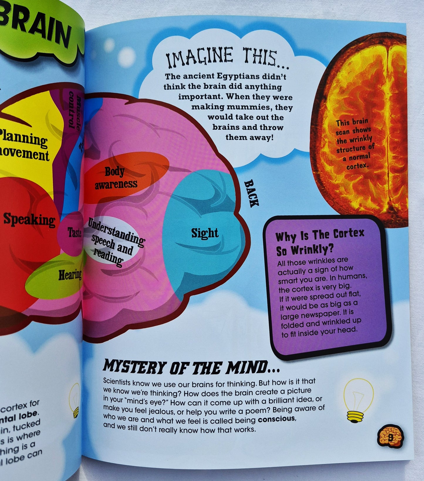 Brilliant Brain: Come to Grips with Your Gray Matter! by Anna Claybourne (Body Works, Neu, 2013, Pbk, 32 Seiten, QEB Publishing) QEB Publishing)