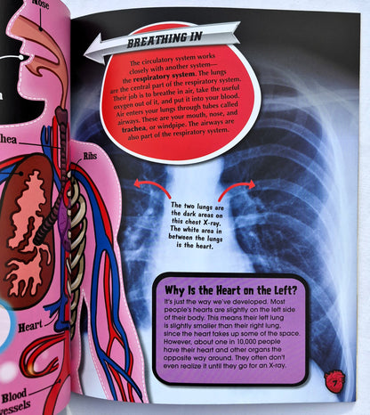 Heroic Heart: Come to Grips with Your Heart and Lungs! von Anny Claybourne (Body Works, Neu, 2013, Pbk, 32 Seiten, QEB Publishing)