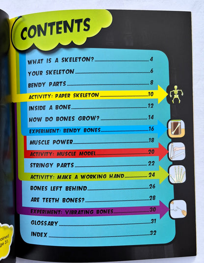 Super Skeleton: Komm deinen Knochen und Muskeln auf die Spur! von Anna Claybourne (Body Works, Neu, 2013, Taschenbuch, 32 Seiten, QEB Publishing)