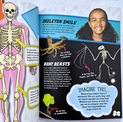 Super Skeleton: Komm deinen Knochen und Muskeln auf die Spur! von Anna Claybourne (Body Works, Neu, 2013, Taschenbuch, 32 Seiten, QEB Publishing)