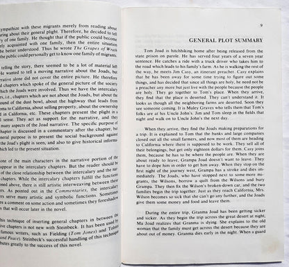 Grapes of Wrath by John Steinbeck (Good, 1993, Pbk, 72 pages, Cliffs Notes)
