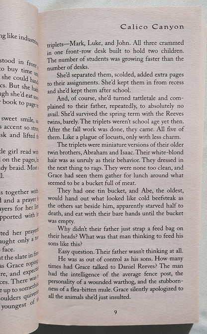 Calico Canyon by Mary Connealy (Lassoed in Texas #2, Very good, 2008, Pbk, 345 pages, Barbour Books)