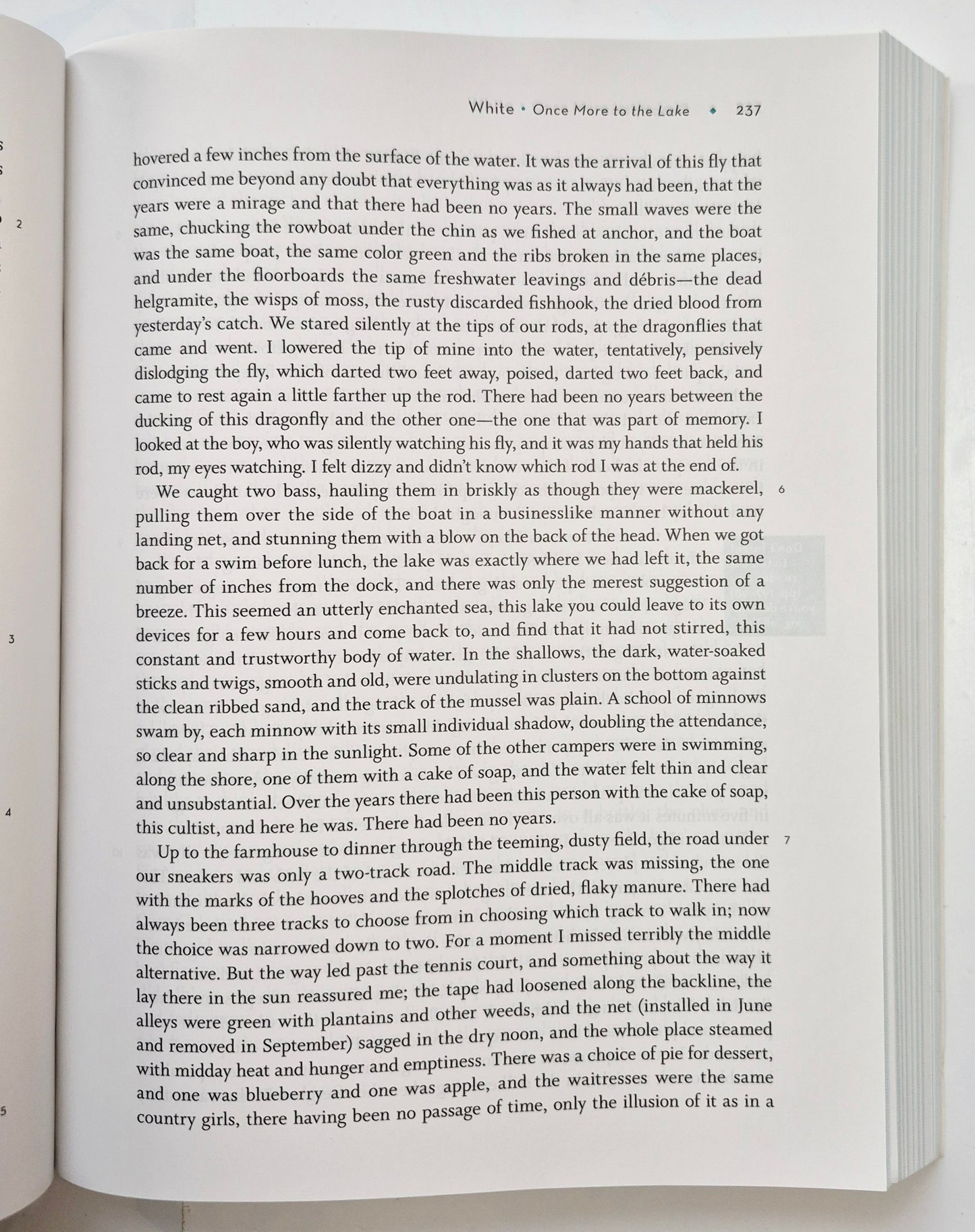 Back to the Lake: A Reader and Guide 4th Edition by Thomas Cooley (Very good, 2020, PBK, 844 pages, Norton)