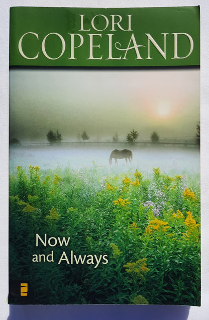 Now and Always by Lori Copeland (Very good, 2008, Pbk, 328 pages, Zondervan)