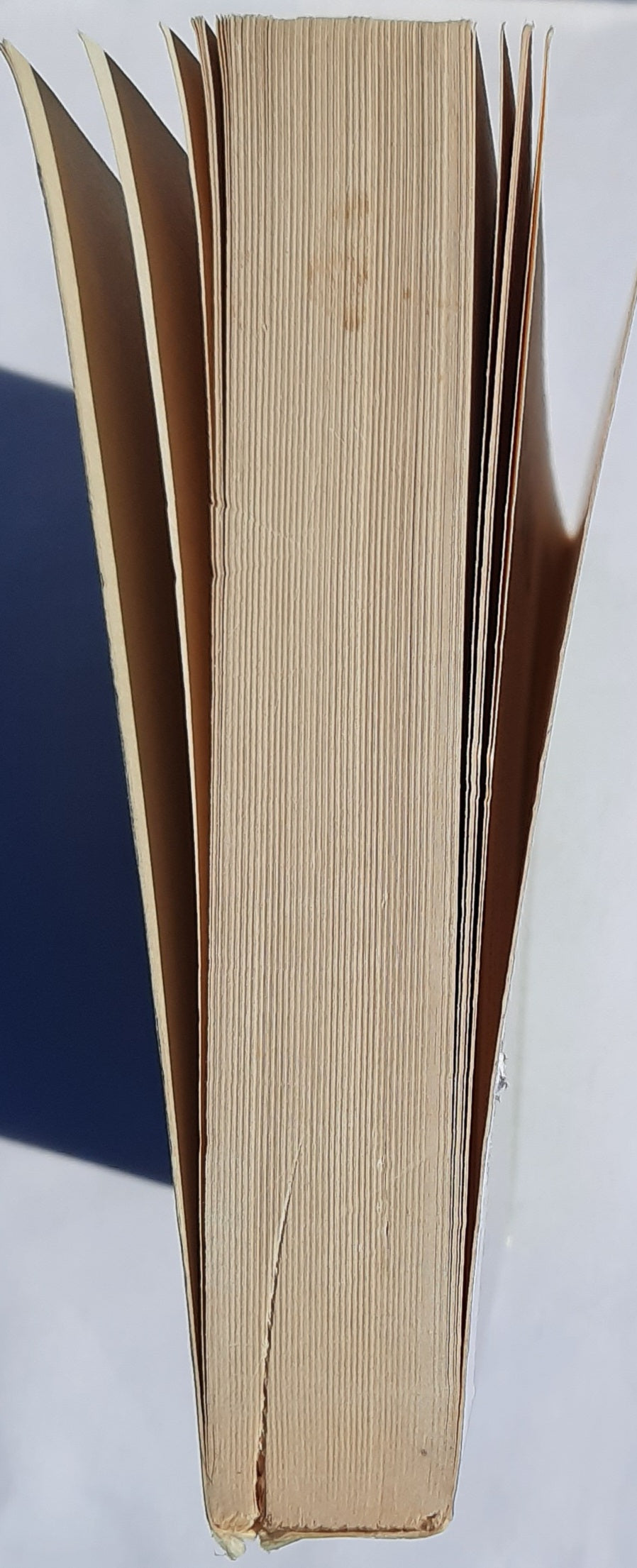 Now and Always by Lori Copeland (Very good, 2008, Pbk, 328 pages, Zondervan)