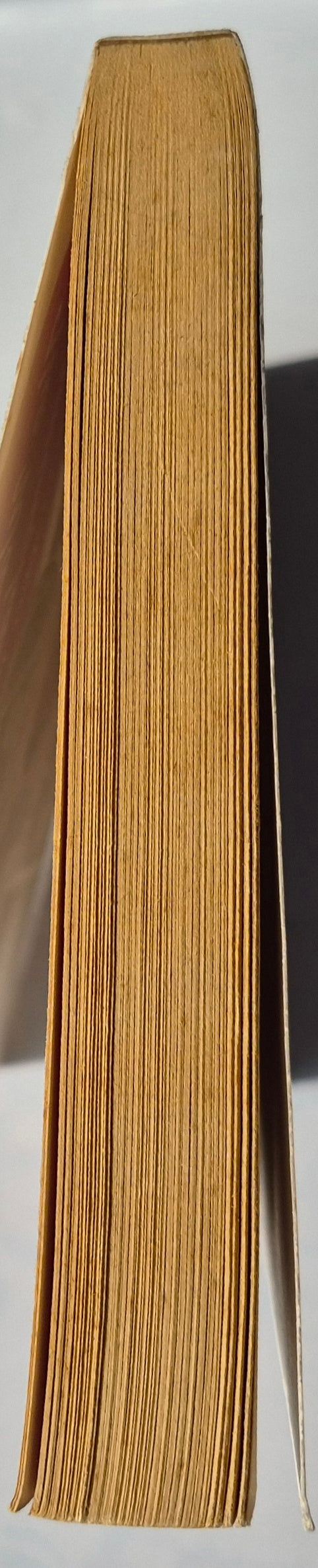 The Watsons Go to Birmingham - 1963 by Christopher Paul Curtis (Very good, 1998, Pbk, 211 pages, Scholastic)