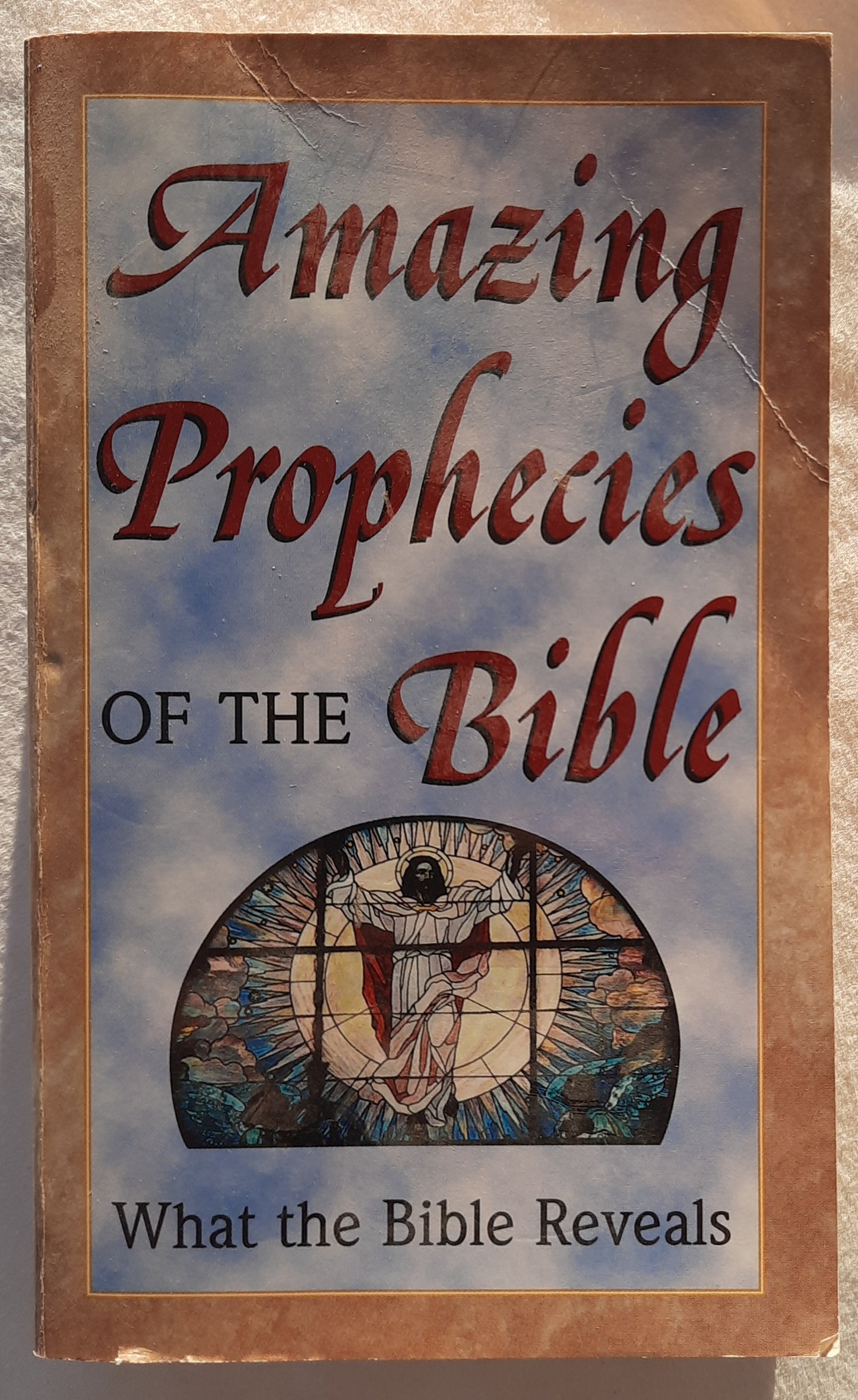 Amazing Prophecies of the Bible: What the Bible Reveals by TimothyJ. Dailey; David Howard (Very good, 1999, PBk, 480 pages, Publications International)