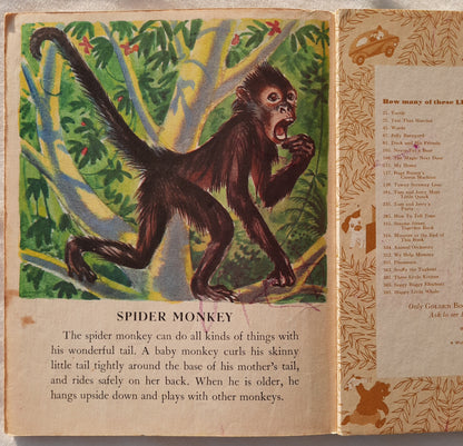 Wild Animal Babies by Kathleen N. Daly (Acceptable, 1972, HC, 24 pages, A Golden Book)