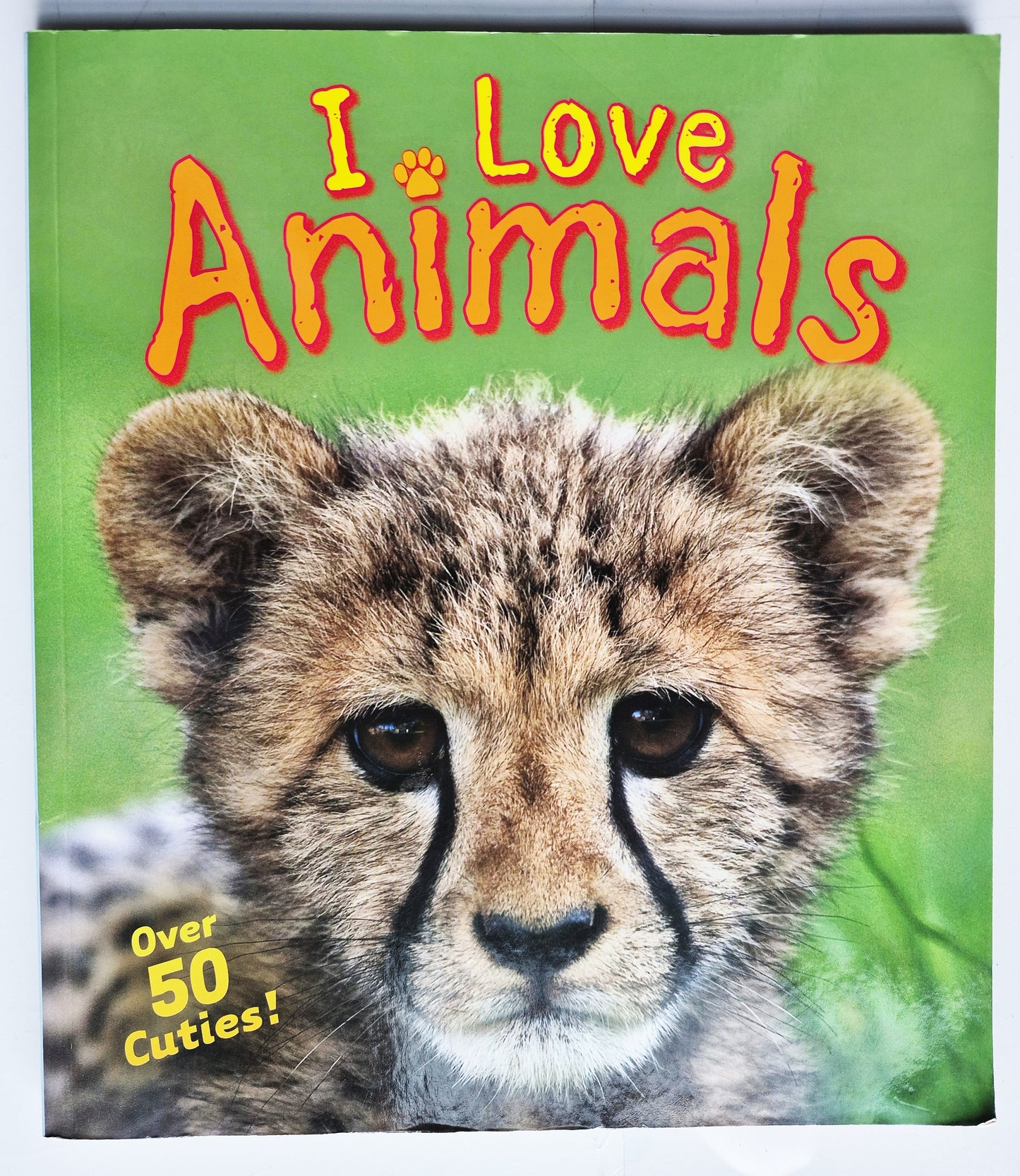 Ich liebe Tiere von Camilla de la Bedoyere (Sehr gut, 2013, Taschenbuch, 120 Seiten)