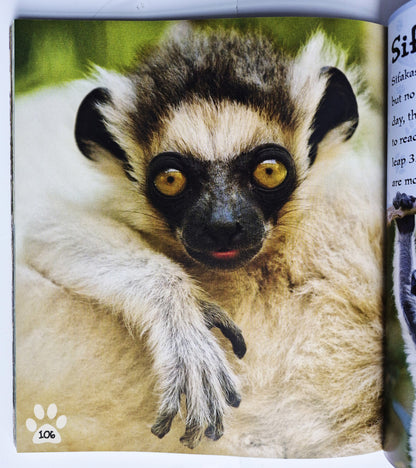 Ich liebe Tiere von Camilla de la Bedoyere (Sehr gut, 2013, Taschenbuch, 120 Seiten)