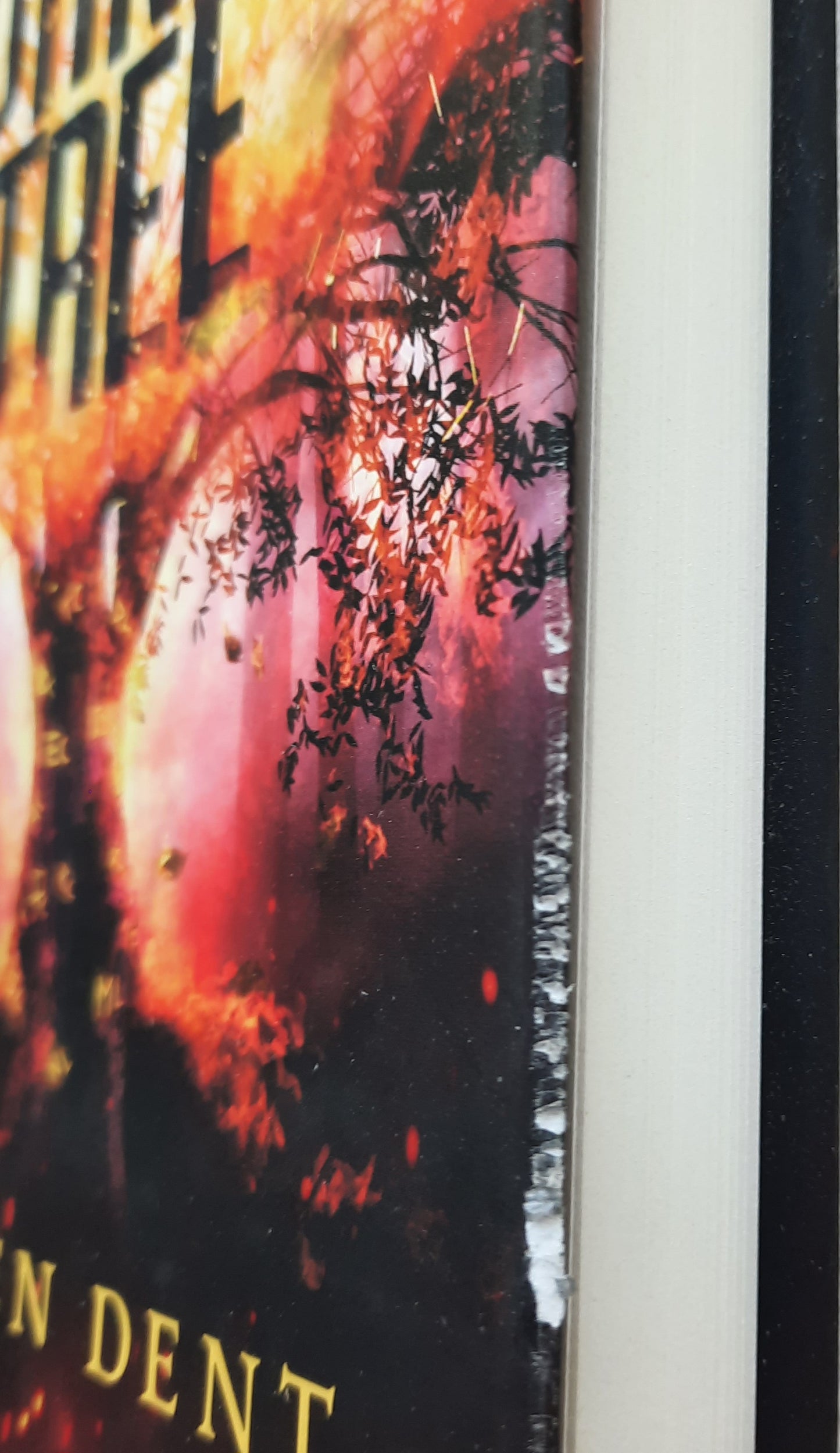 The Burning Tree by Helen Dent (New, 2024, HC, 239 pages, Enclave Publishing)