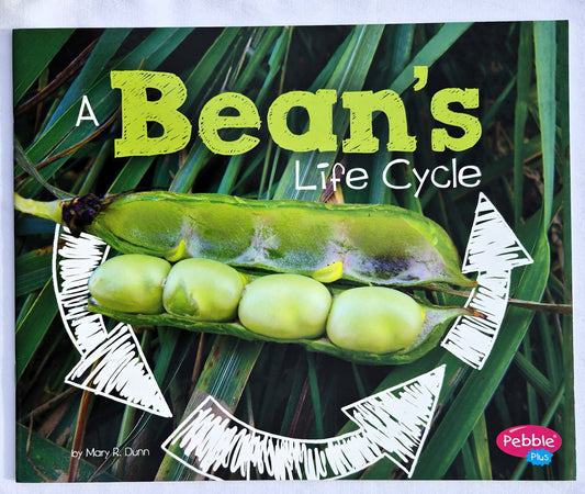 A Bean's Life Cycle by Mary R. Dunn (New, 2018, Pbk, 24 pages, Capstone Press)