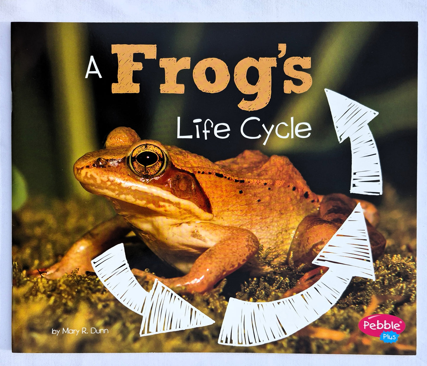 A Frog's Life Cycle by Mary R. Dunn (New, 2018, Pbk, 24 pages, Capstone Press)
