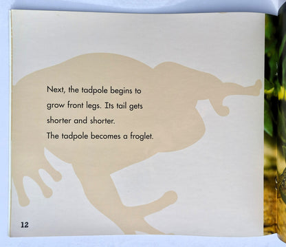 A Frog's Life Cycle by Mary R. Dunn (New, 2018, Pbk, 24 pages, Capstone Press)