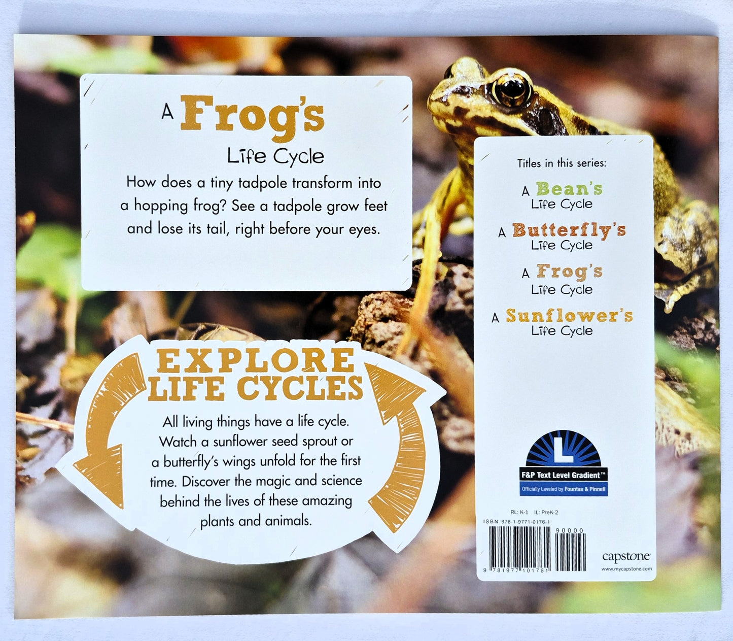 A Frog's Life Cycle by Mary R. Dunn (New, 2018, Pbk, 24 pages, Capstone Press)