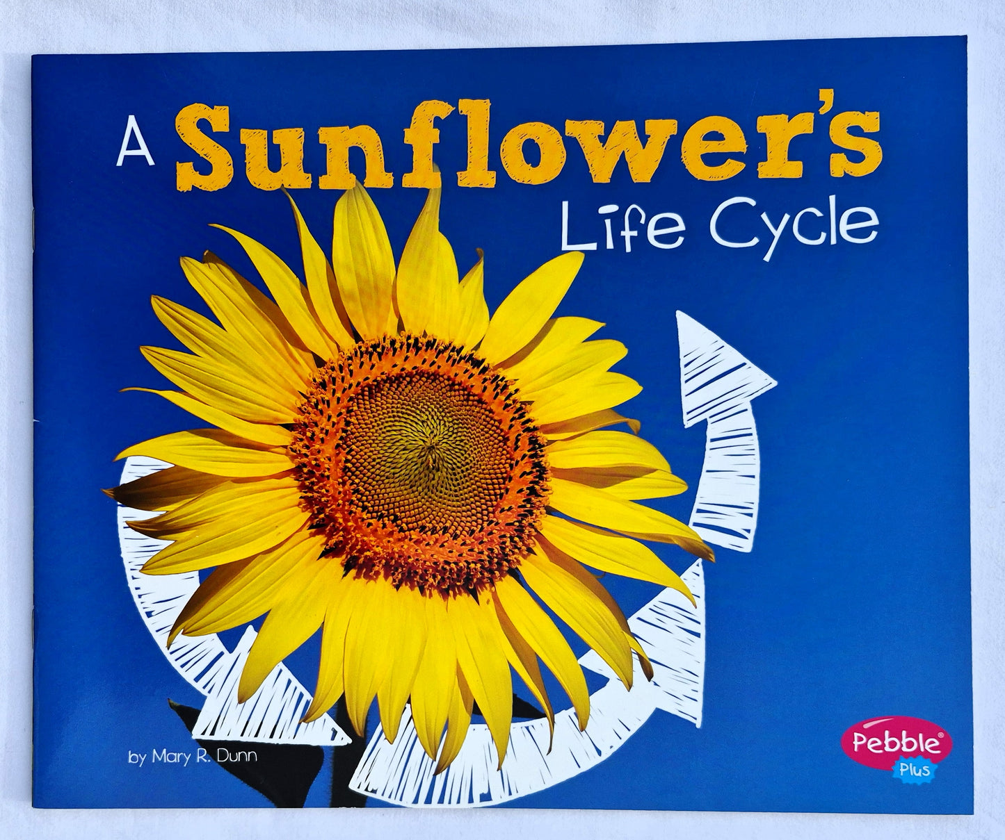 A Sunflower's Life Cycle von Mary R. Dunn (Neu, 2018, Paperback, 24 Seiten, Capstone Press)