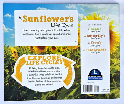 A Sunflower's Life Cycle von Mary R. Dunn (Neu, 2018, Paperback, 24 Seiten, Capstone Press)