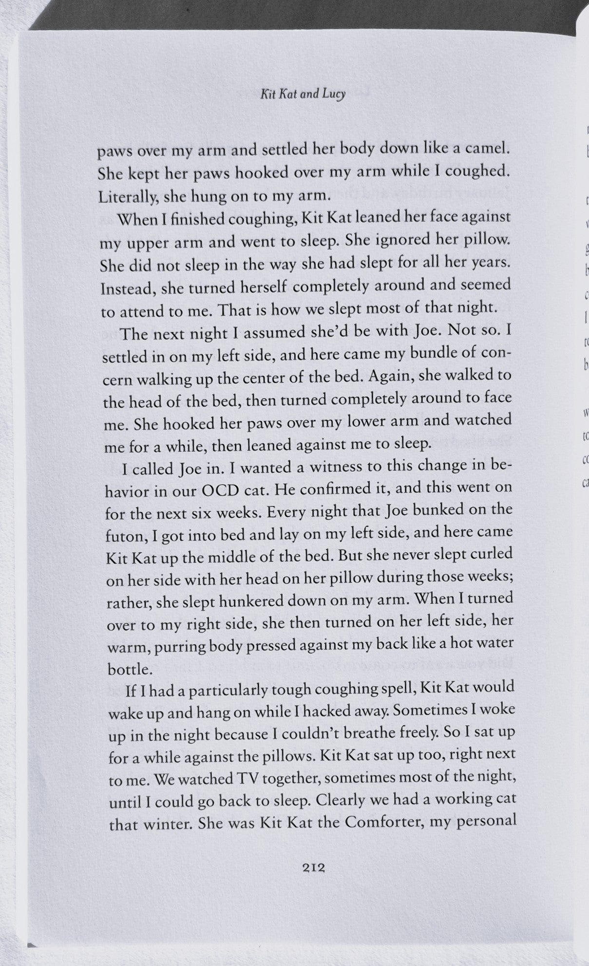 Kit Kat & Lucy: The Country Cats Who Changed a City Girl's World von Lonnie Hull DuPont (Sehr gut, 2016, Pbk, 235 Seiten, Revell)