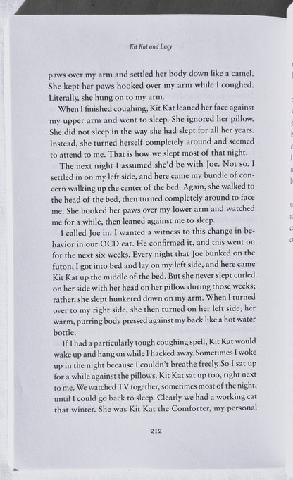 Kit Kat & Lucy: The Country Cats Who Changed a City Girl's World von Lonnie Hull DuPont (Sehr gut, 2016, Pbk, 235 Seiten, Revell)